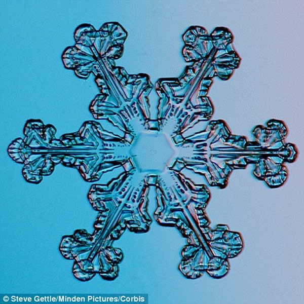 冰晶胚芽等更简单的雪花形状在低湿度下更常见。但平晶(照片显示)等更复杂的雪花形状形成于高湿度区域。