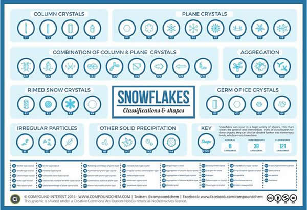 雪花以各种各样的形状呈现出来。这张信息图展示了35个形状的分类。日本北海道北见工业大学的研究人员将这些形状分成121类。