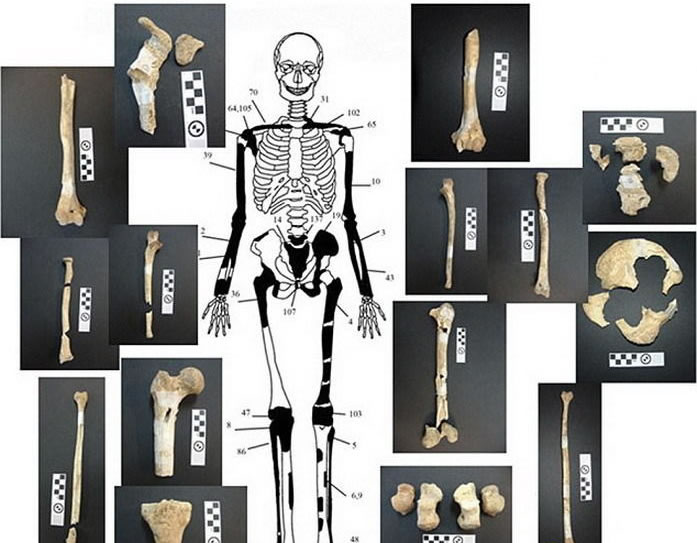 经分析这两具男性尸骨的死亡年龄大约是35-45岁，图中是一具男性尸骨，其左胸骨有明显的切痕，很可能是短剑或者匕首插入身体导致致命伤害。希腊文化部长称，这具尸体的