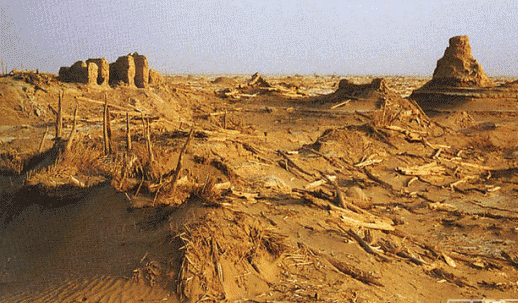 新疆沙漠现千年古城 尸骨满城文物12箱之多