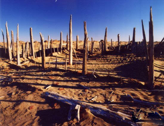 新疆沙漠现千年古城 尸骨满城文物12箱之多
