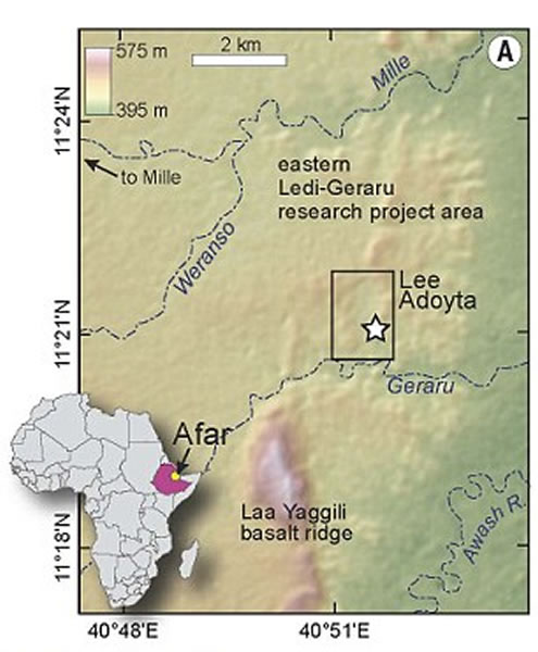 这一下颚骨化石最初是由埃塞俄比亚研究和文化遗产保护机构的一名名为沙拉丘?塞尤姆(Chalachew Seyoum)的学生在2013年1月发现