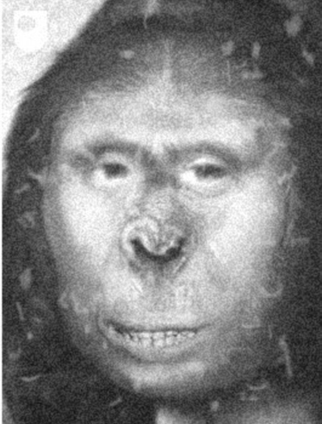 牛津大学教授认为，雪人的答案应该就在19世纪俄国猿女扎娜身上。