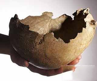 原始英国人吃人肉：吸骨髓头骨做成杯子
