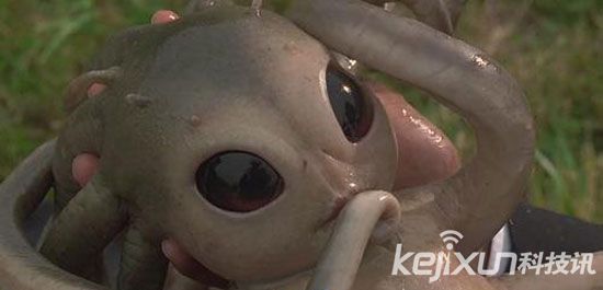 不可思议！评选全球11大外星人聚集地