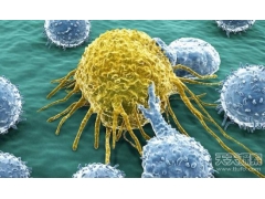 癌症十大误区 断食饿死癌细胞？