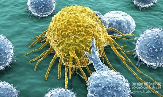 癌症十大误区 断食饿死癌细胞？