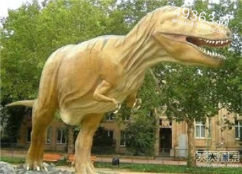 霸王龙 六千五百万年前已灭绝