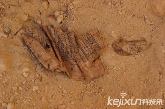 十大考古大发现  古老的沼泽遗骸