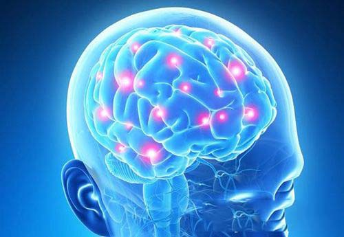 科学家发明大脑信号解码装置 “读心术”实现