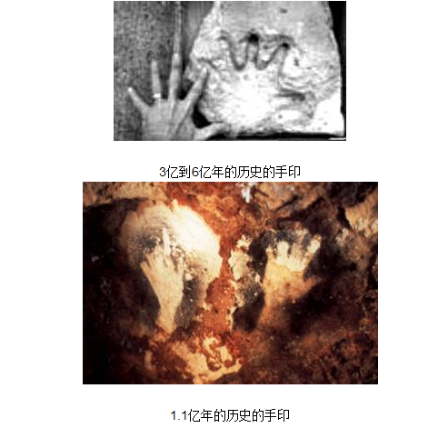 3亿年前外星人螺丝被发现 铁证曝光