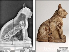 揭秘古埃及动物木乃伊内部结构 豺狼体内含