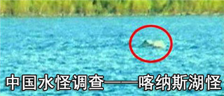 巨型哲罗鲑：喀纳斯湖水怪是巨型哲罗鲑