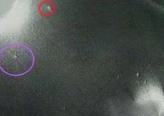 外星人存在于多维度世界中?爱好和平曾阻止美俄核战争!