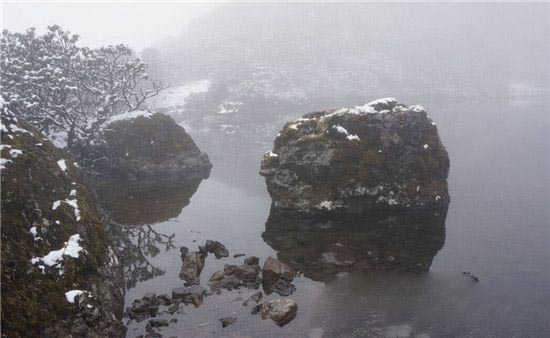 中国百慕大“黑竹沟”:人入之必死 动物则生