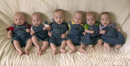 多胞胎最多能有多少个？世界纪录15胞胎