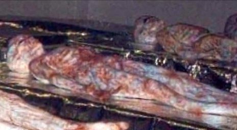 揭秘肯尼迪总统遭暗杀竟与是否与外星人有关?