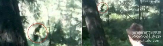 美女子森林中用iPhone意外拍到大脚野人视频