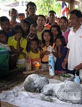德媒体称泰国村民祭拜不明生物 疑似外星人