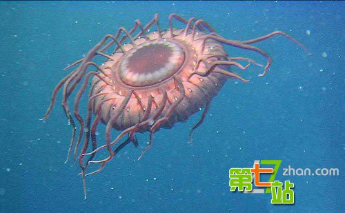 人类未解的谜团:UFO为什么经常光临海洋?