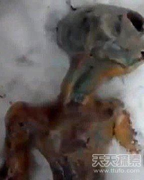 俄网民上传冰冻外星人视频