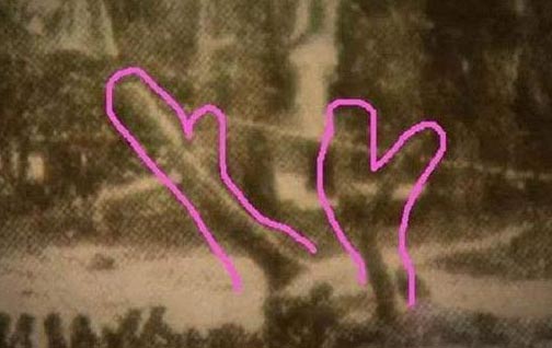1934年营口坠龙事件真相 龙真的存在吗?