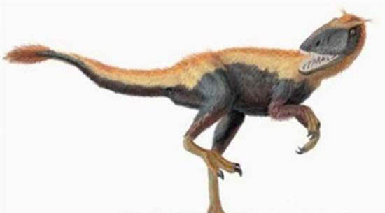 发现世界上最小恐龙 发现足迹只有2厘米