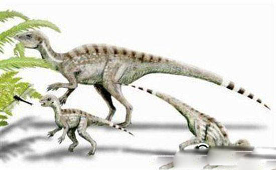 发现世界上最小恐龙 发现足迹只有2厘米