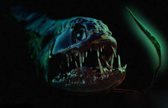 世界上最恐怖的海底生物，深海龙鱼异常凶猛