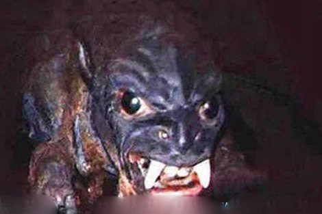 十大神秘生物 揭秘世界十大神秘生物真实面目