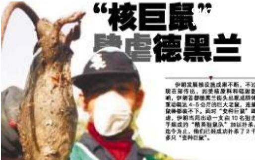 伊朗巨鼠,核辐射导致基因变异(吃人)