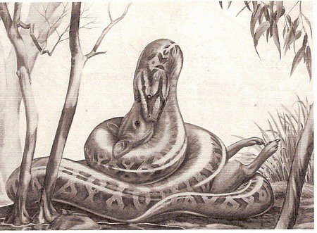 盘点远古六大巨蛇：沃那比蛇是最古老的蛇