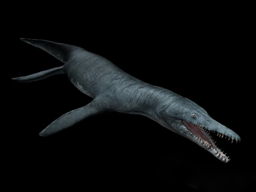 史上最凶猛的上龙：一口吞下大白鲨