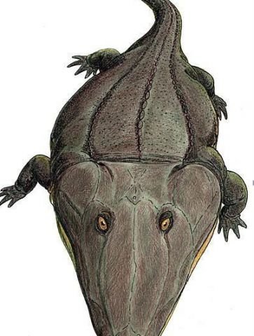 史前八大恐怖生物：虾蟆螈以恐龙为食