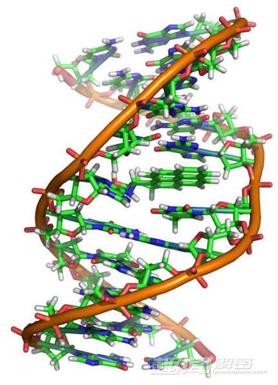 DNA