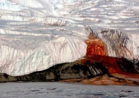 诡异的南极血瀑布，是真的血吗？