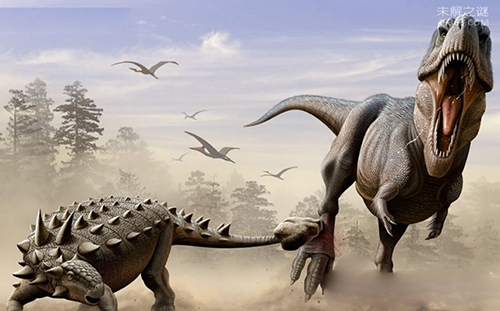 全身披着盔甲的恐龙，甲龙身高1米重2吨