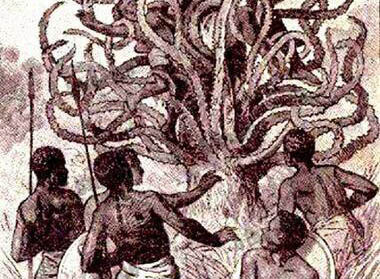 吃人植物食人柳,柳枝将猎物活活勒死并消化