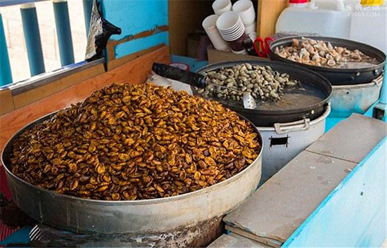全球8大恐怖美食:中国上榜的是它?