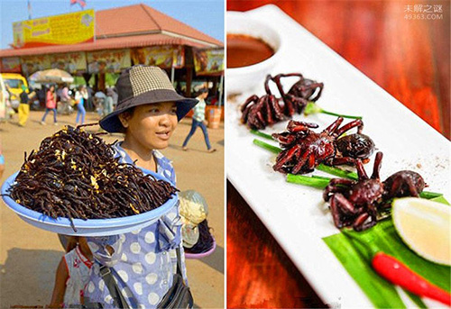 全球8大恐怖美食:中国上榜的是它?
