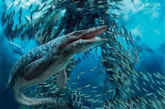 深海泰坦，沧龙一口吞下海洋霸主鲨鱼