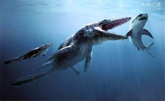 深海泰坦，沧龙一口吞下海洋霸主鲨鱼
