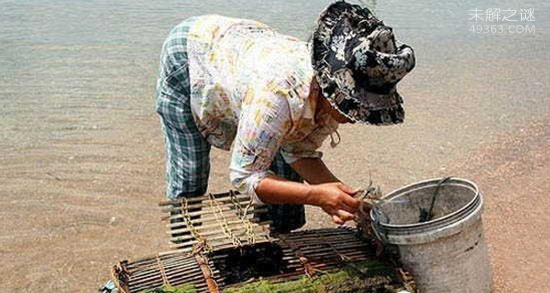 柬埔寨女人村