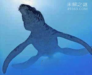 龙王鲸才是海洋霸主，灭绝的远古海洋巨兽