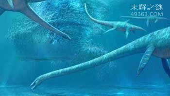 龙王鲸才是海洋霸主，灭绝的远古海洋巨兽