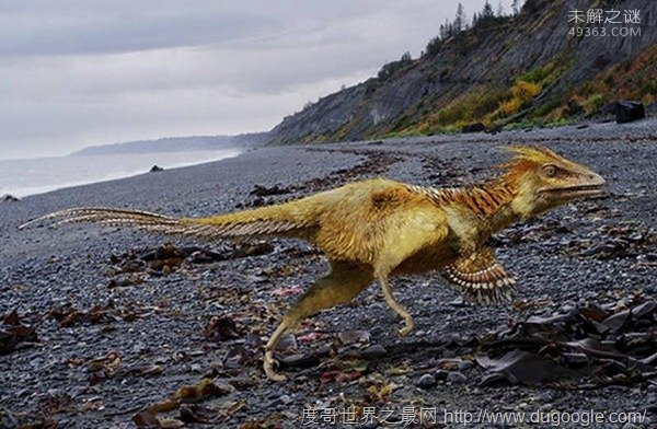 巨兽龙，最大的陆地肉食性恐龙