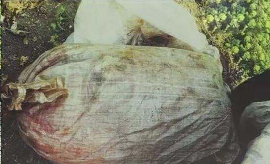 卡林娜·巴杜奇扬,被男友溺死烹饪(只因男友肚子饿)