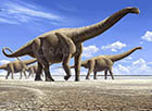 地球上体型大的恐龙重约300吨 瞬间踩扁霸王