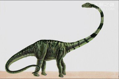 地球上体型大的恐龙重约300吨 瞬间踩扁霸王龙