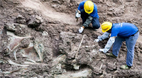 重庆现恐龙化石群 150米恐龙化石墙令人惊喜